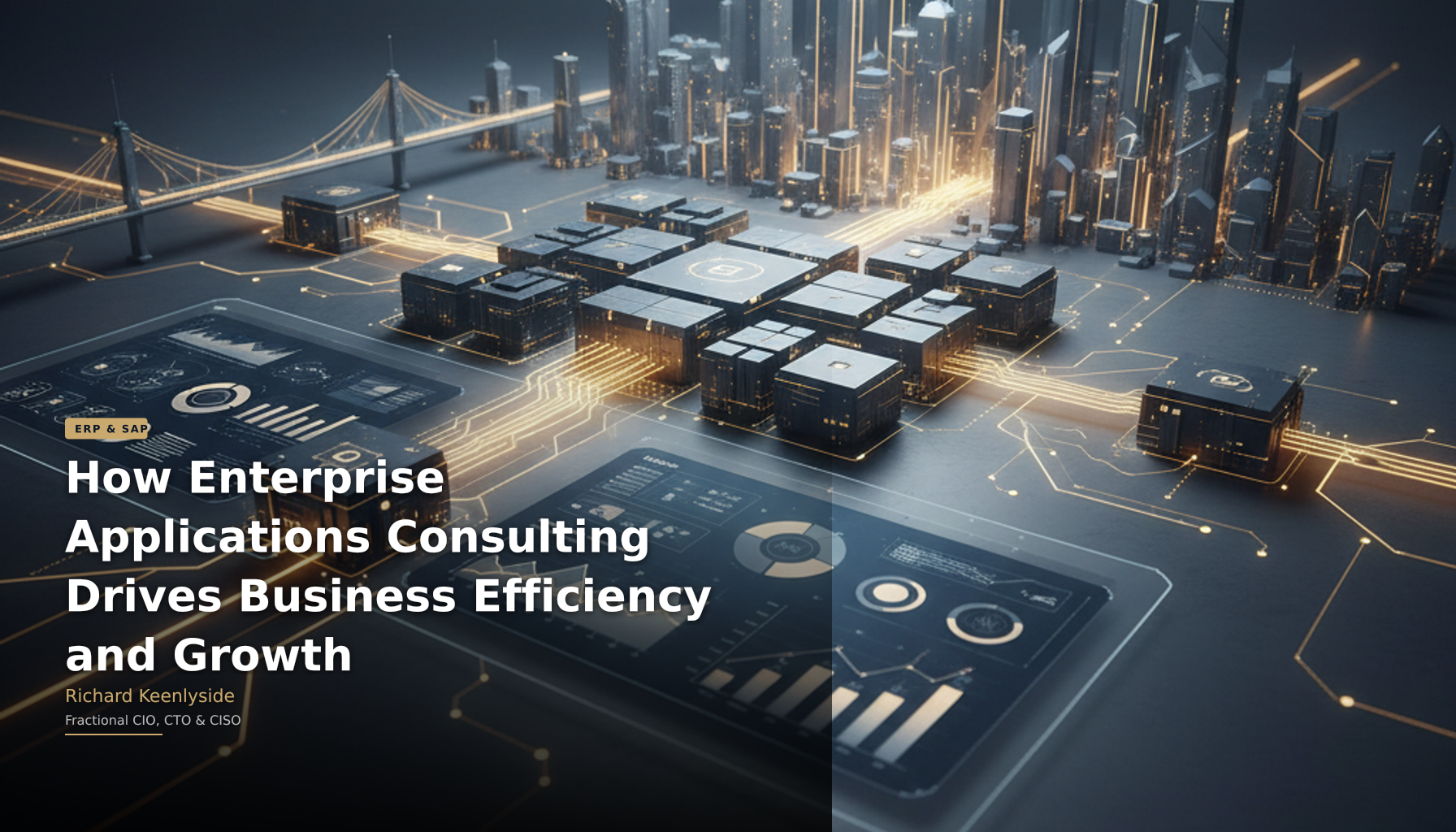 How Enterprise Applications Consulting Drives Business Efficiency and Growth - Richard Keenlyside, Fractional CIO, CTO and CISO